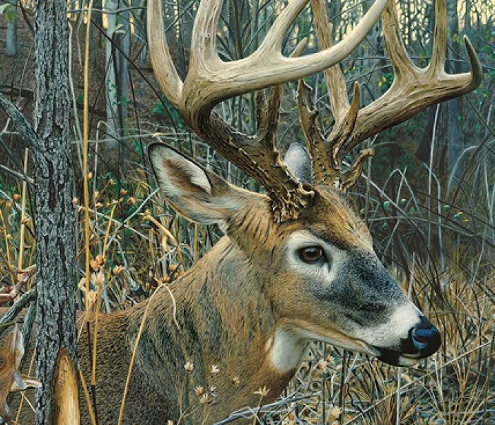 Puzzle - Cobble Hill - Jelen